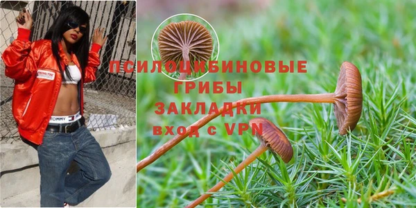 кокаин премиум Горнозаводск