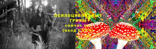таблы Горняк