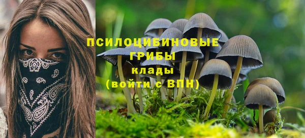 кокаин премиум Горнозаводск