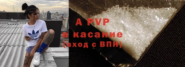 СК Горно-Алтайск