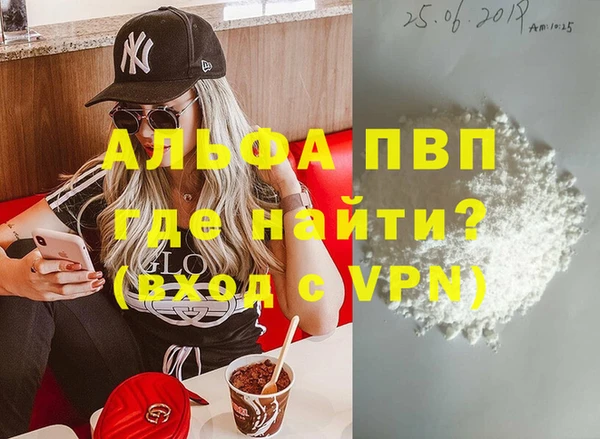 СК Горно-Алтайск
