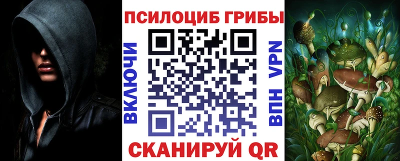 Псилоцибиновые грибы Magic Shrooms  Москва 